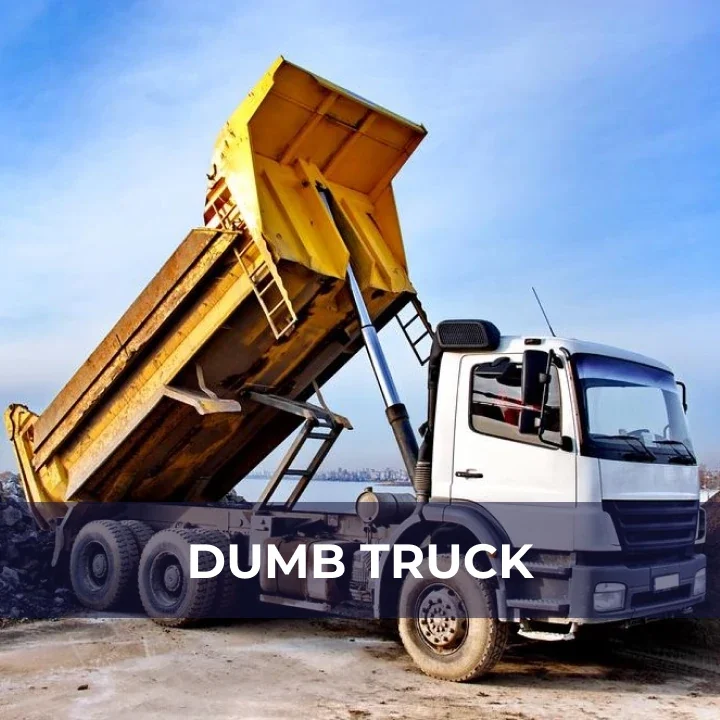 DUMB TRUCK